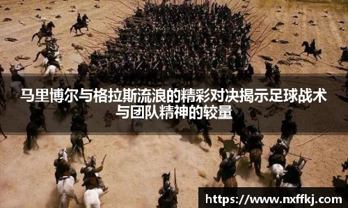 中欧zoty